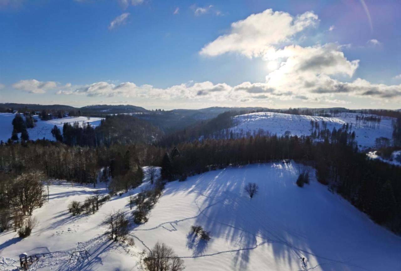 Penthouse Harz-Traum 372 Apartment Hohegeiss Luaran gambar